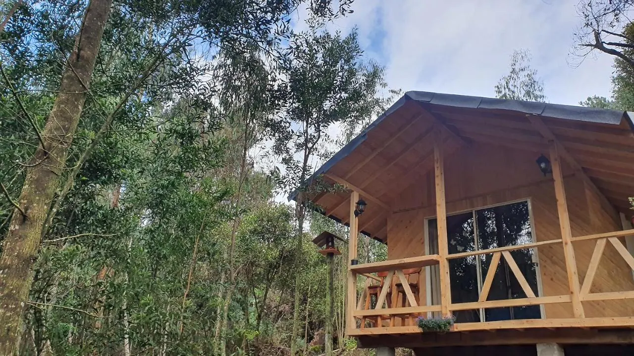 Cabanas Piedemonte Santa Elena  0*, Santa Elena (Antioquia) Colombia