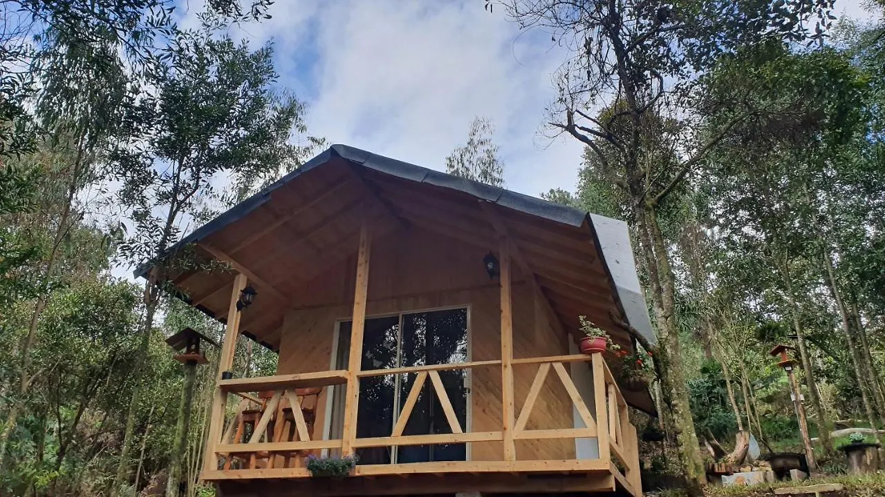Cabanas Piedemonte Santa Elena  Santa Elena (Antioquia)