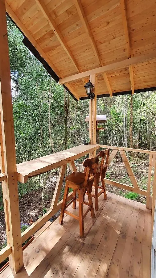 Cabanas Piedemonte Santa Elena  Apartment Santa Elena (Antioquia)